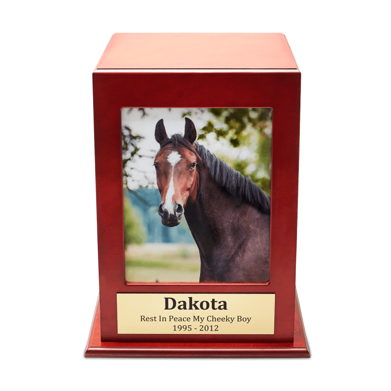 Cherry Horse Photo Box | Lawnswood Pet Cremations