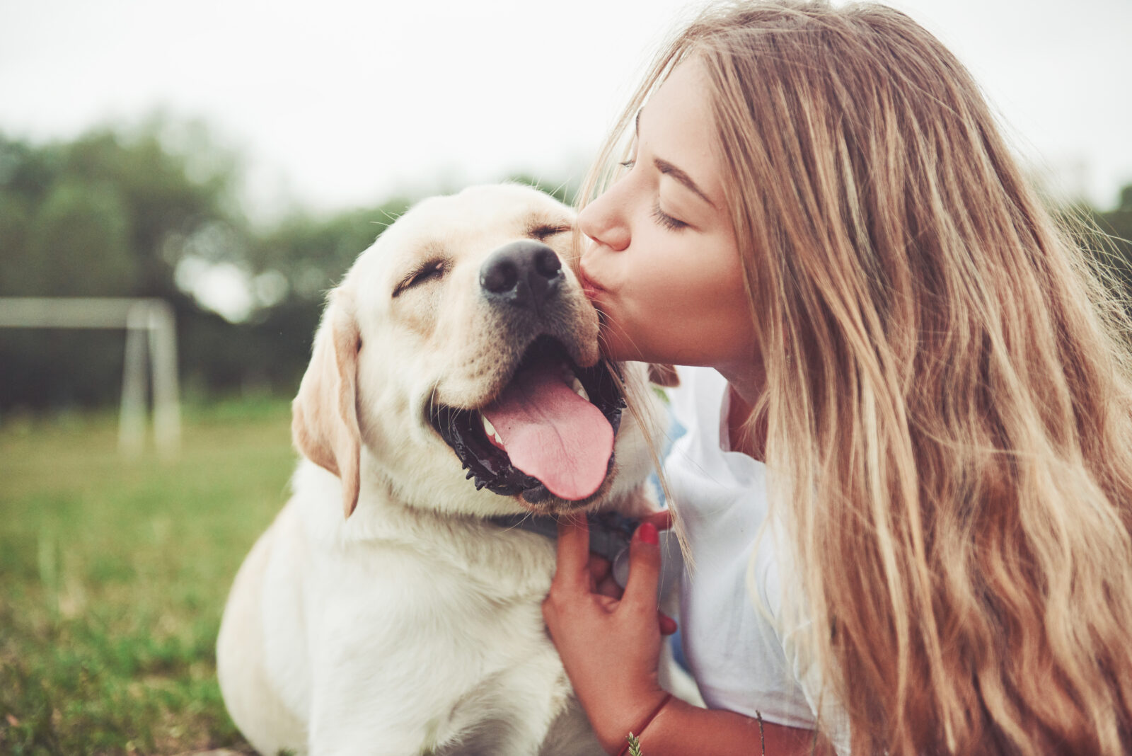 Girl with her labrador